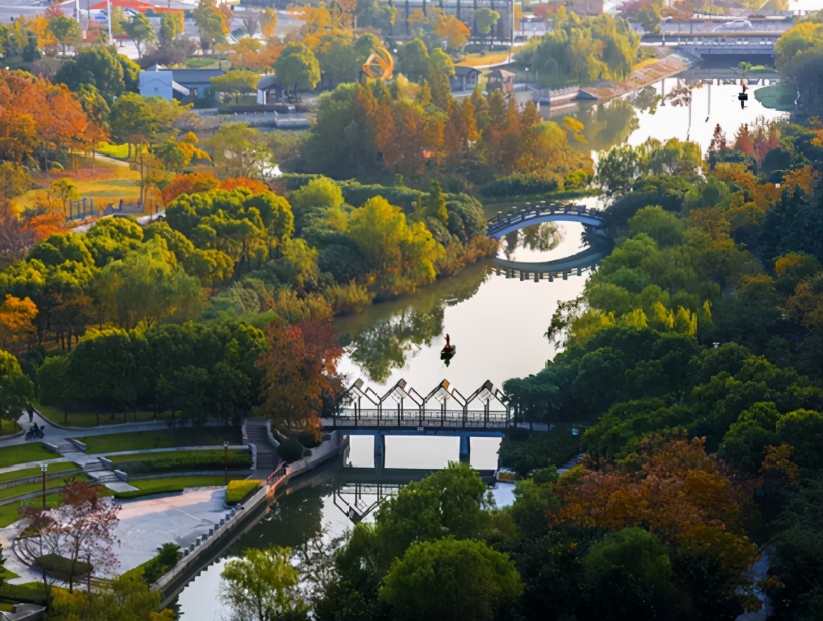 苏商精神传承,离土不离乡