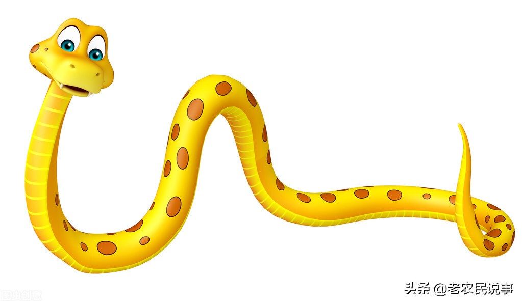 农村房子有什么方法防止蛇出没,怎么避免农村房屋边上有蛇