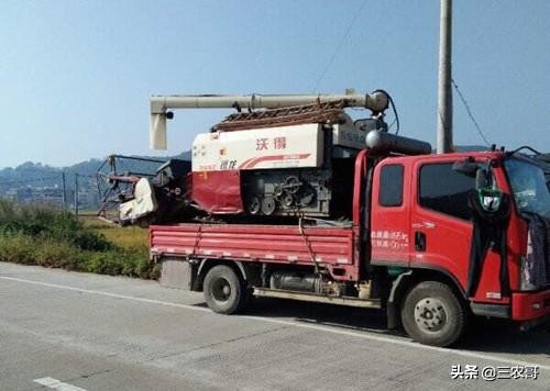 适合农村的家庭致富小项目盘点,农村适合做哪些创业小项目