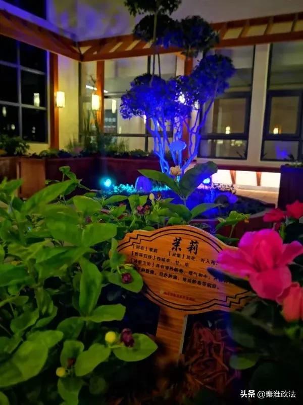 “转角遇见·百草园”为秦淮中医院输入创新发展正能量