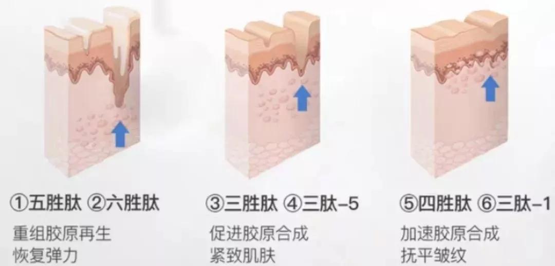 刘亦菲保养皮肤的方法,30岁皱纹多怎么修复