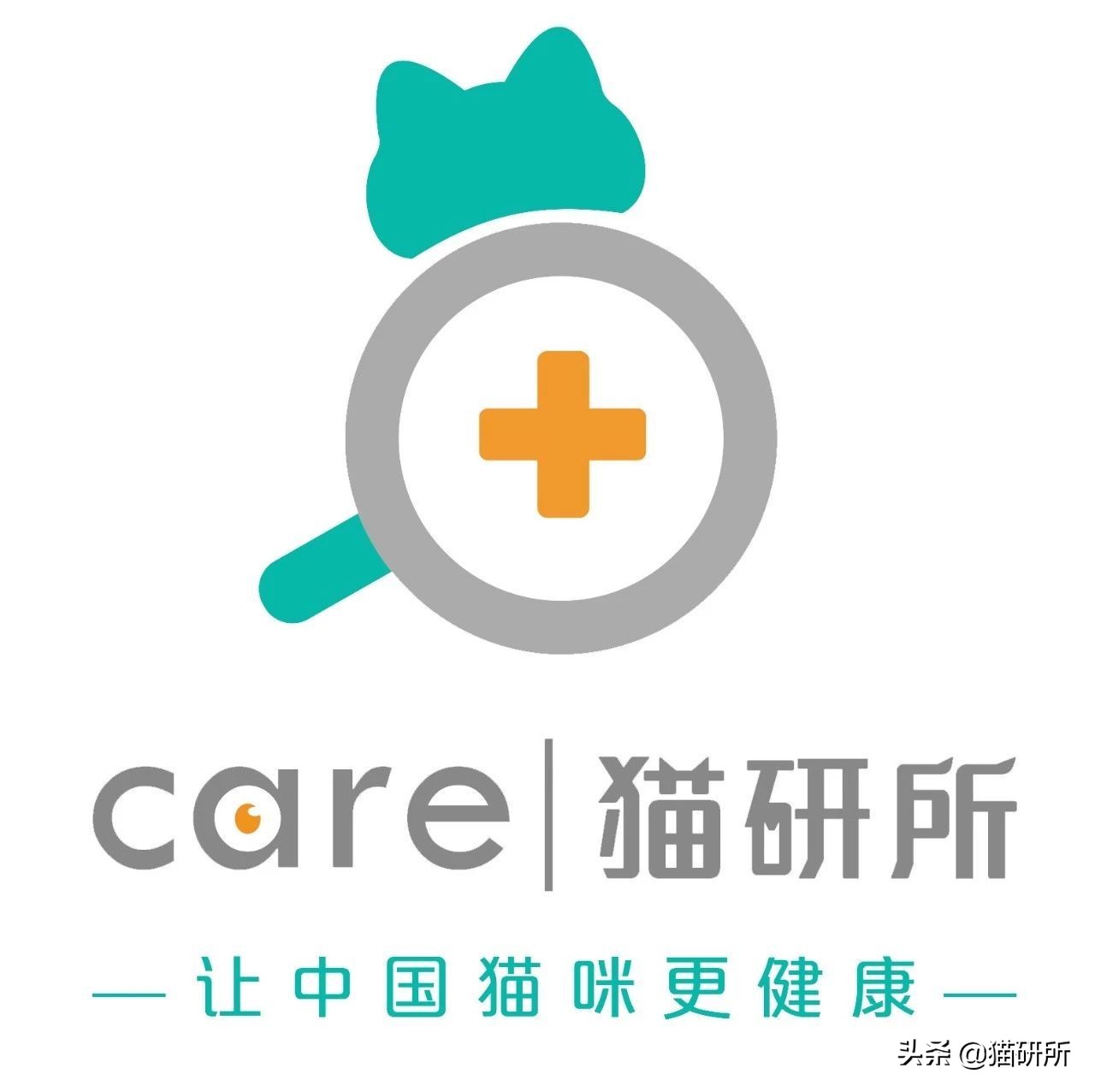 伊丽莎白圈猫咪,伊丽莎白圈有危险吗