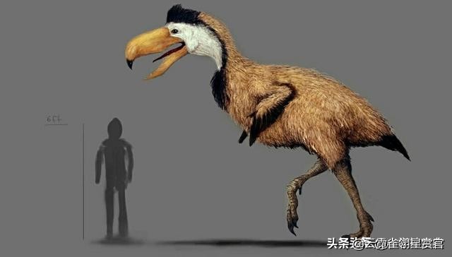 史前时期不会飞的巨鸟,十大最可怕巨型恐龙