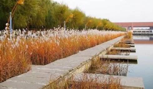 浑南区房地产板块分析,浑南区板块分析