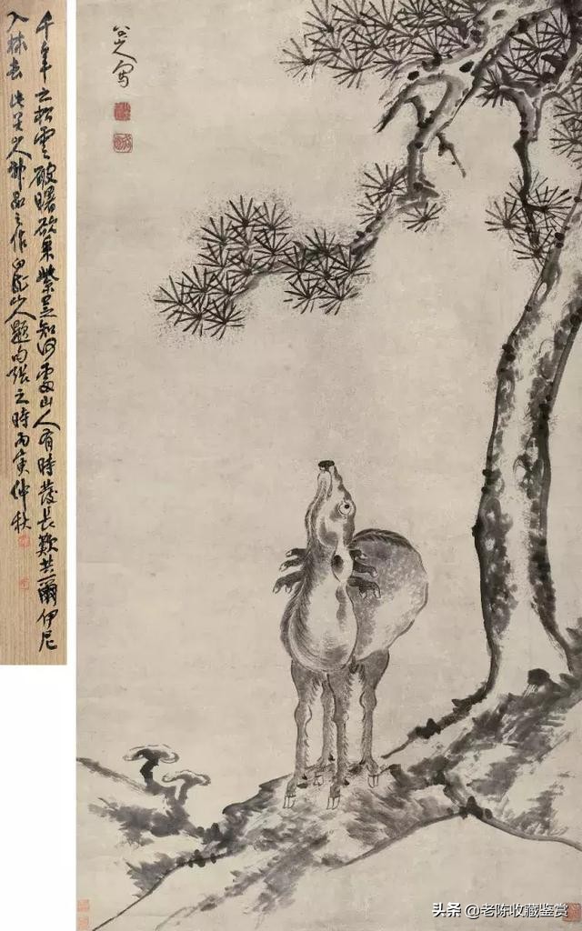 八大山人鹿图,八大山人松鹿图赏析