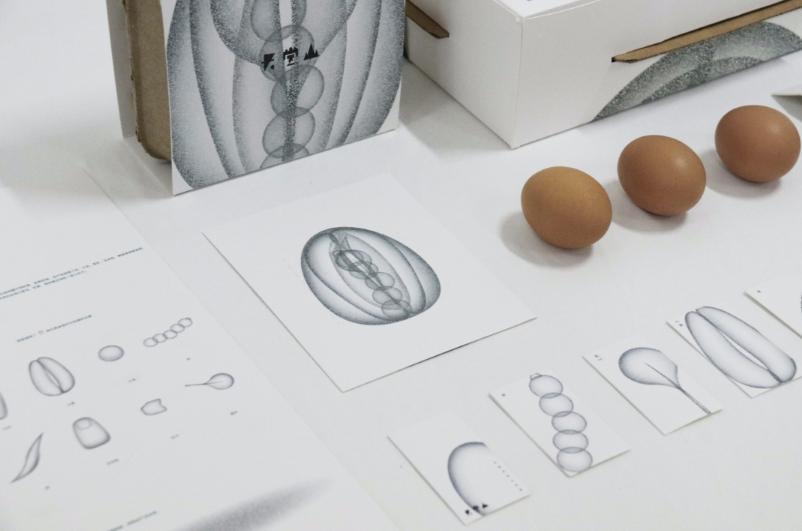 创意鸡蛋礼品盒包装设计,100个经典鸡蛋包装设计