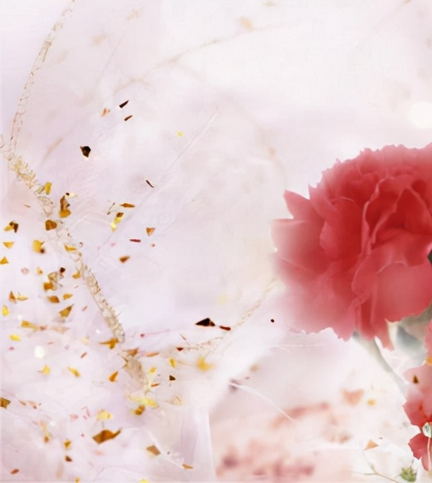 五年级作文我想对你说思维导图,三年级学生习作我的妈妈思维导图