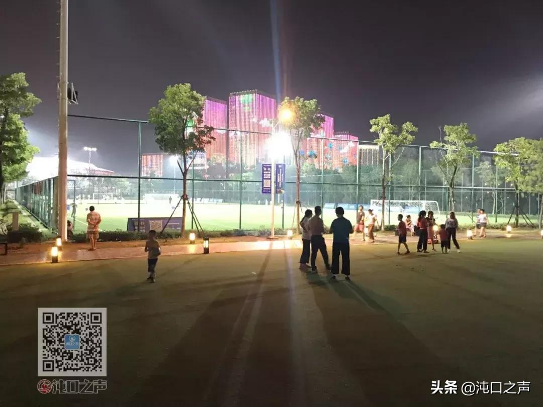 武汉卓尔足球公园,武汉王家墩足球公园