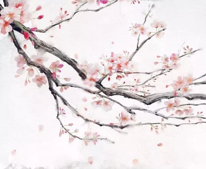 你几月出生就证明你是什么神明,三月份出生适合的诗句