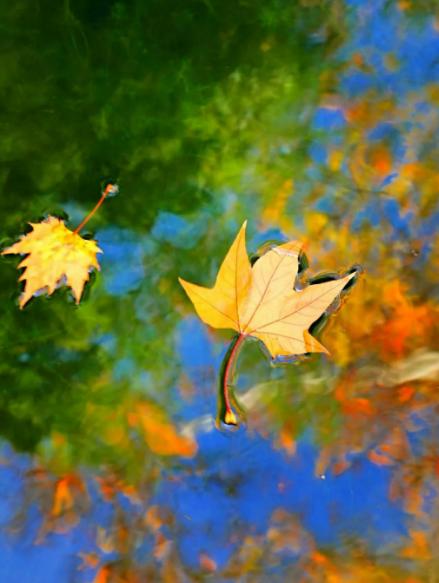 初冬最美诗词赏析,描写初冬的诗词大全