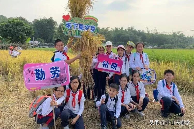 中山市体育路学校怎么样,中山市东升学校怎么样