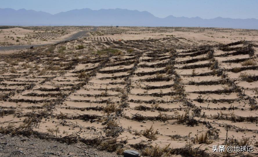 *疆新**:随着环境慢慢变好,*疆新**正在迎来复苏,该不该人工干预