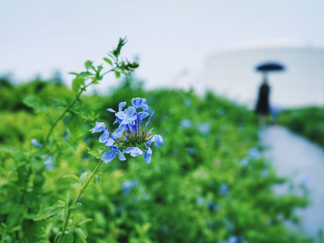 上海城隍庙豫园全部风景,上海城隍庙附近好玩的景点推荐