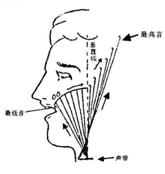 声乐教学高音怎么唱,声乐高音技巧和发声方法
