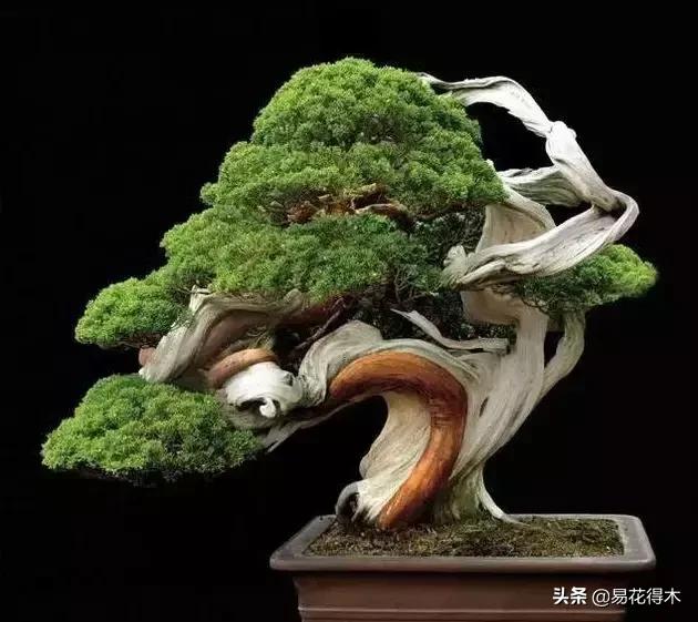 下山桩杀根没到位怎么处理,下山桩的处理方法