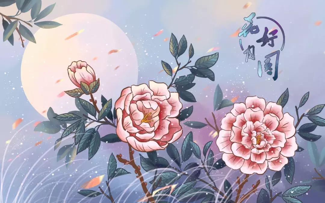 中华上下5000年经典历史故事视频,读完中华上下5000年学到了什么