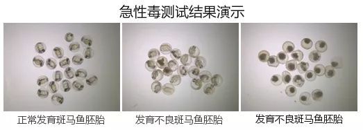 变质狗粮吃了拉稀怎么回事,吃进口狗粮拉稀