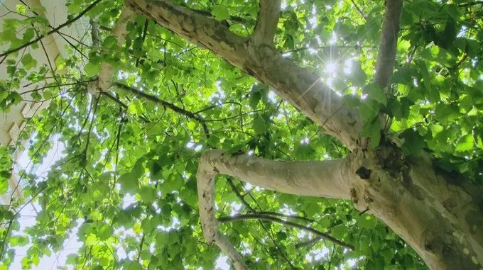 大连回到20年前,大连回到了故乡烟台