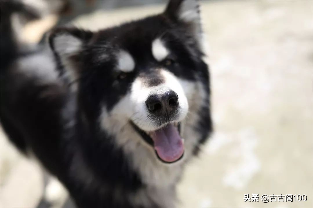 越王峥大峡谷：风景壮美，迷倒众生