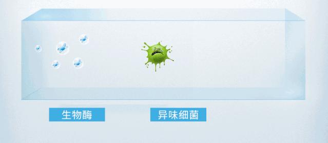 新车内除味最有效方法,车内消毒杀菌除味方法