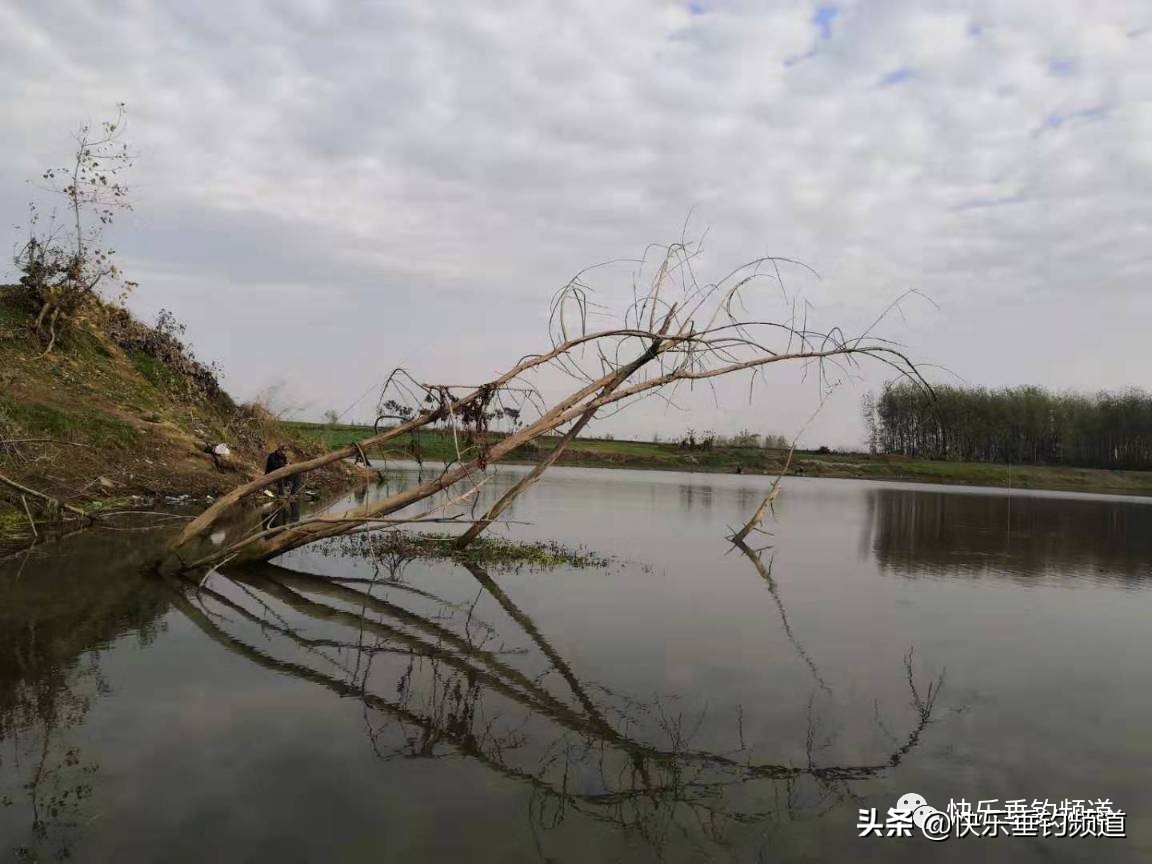 野钓挂钩怎么处理,野钓鱼钩挂底解决方法