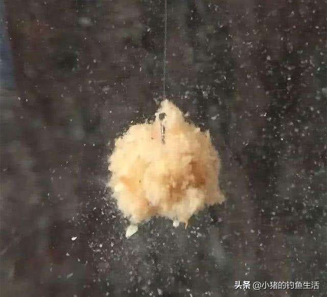 钓浮一般离底多深,钓底钓浮的正确方法与技巧