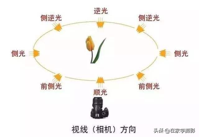 人像拍摄有斑,如何解决人像拍摄脸部发黑