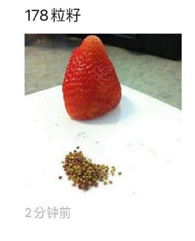 平民化值得玩的敞篷车,入门级敞篷车哪个性价比高