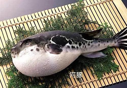 十大奇葩又恶心的美食,黑龙江奇奇怪怪的美食