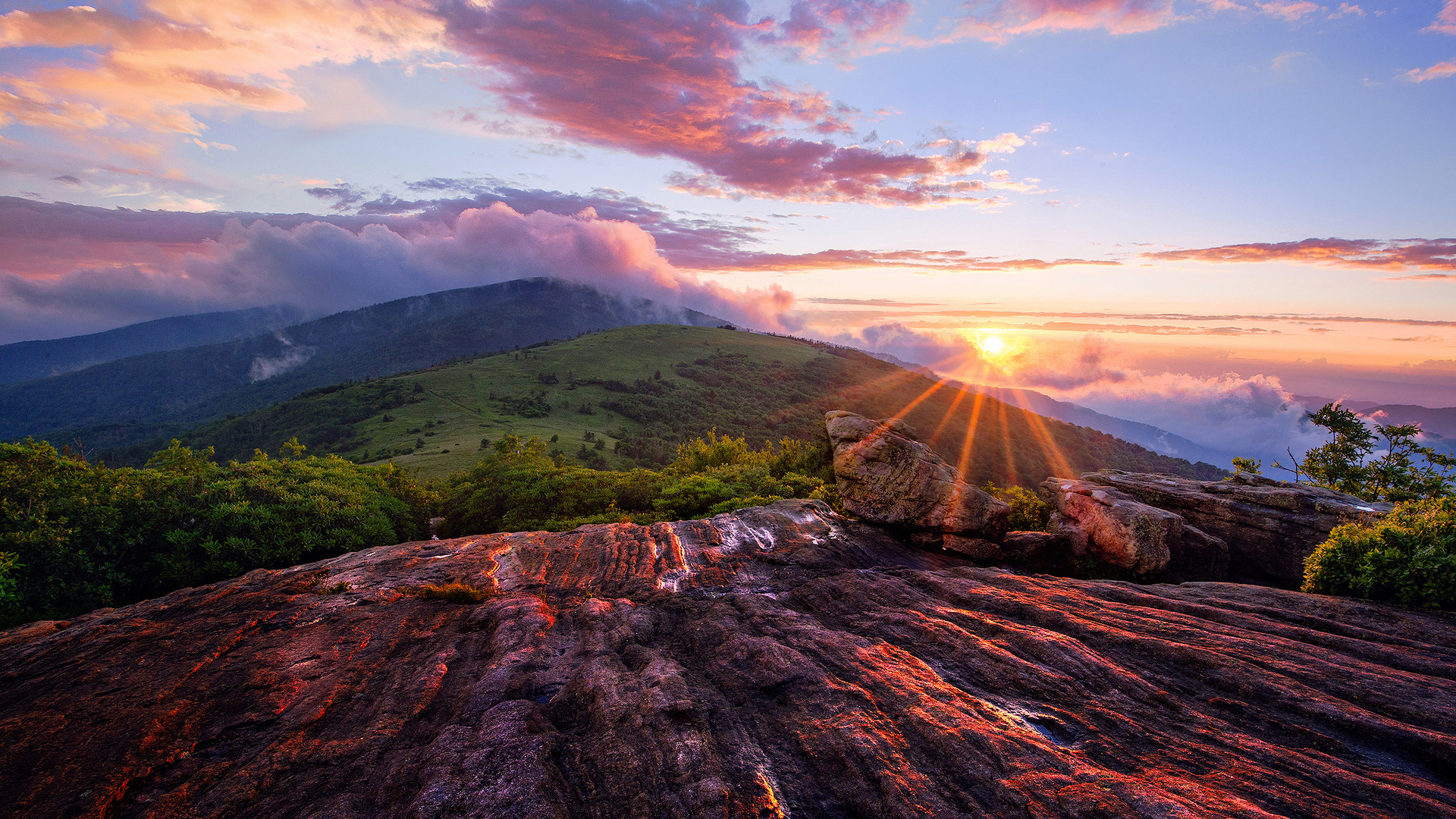 天子谋小说言欢,天子谋和玉楼春