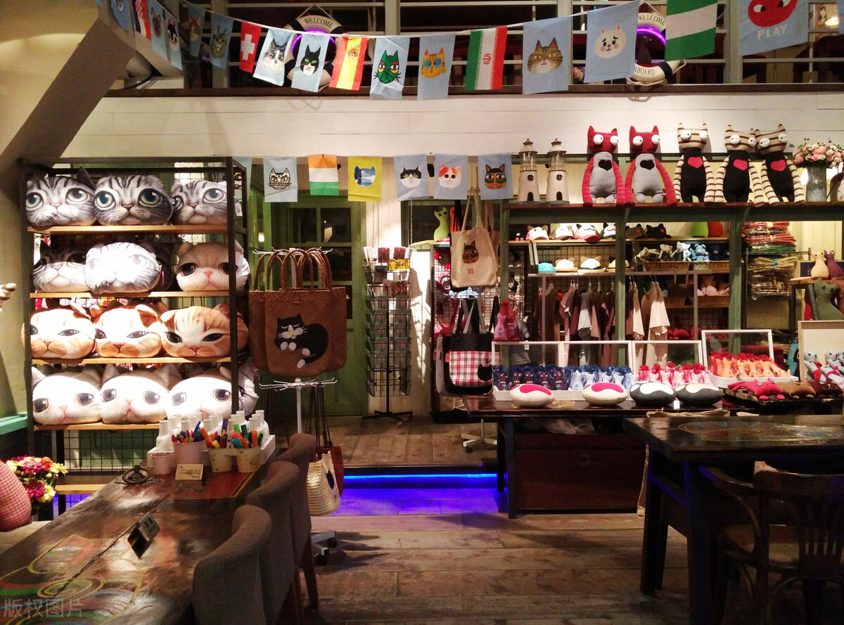 厦门顶级猫街介绍,厦门猫街值得去吗