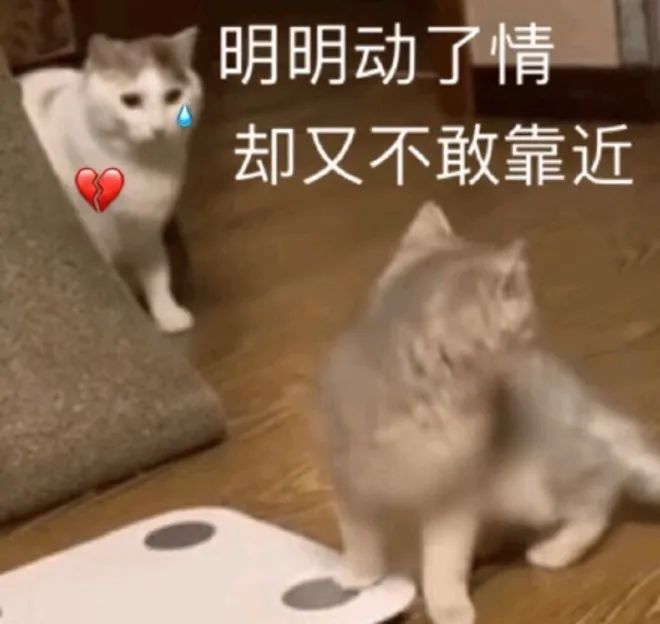 《青蛇劫起》用力过猛，扯到了胯