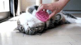 懒人神器用了没效果,实用又不贵的懒人神器