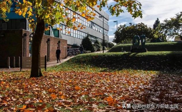 英国大学图解,英国南安普顿相当于国内什么大学