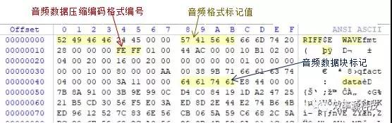 哪种数据恢复软件可恢复音频,录音文件数据恢复软件