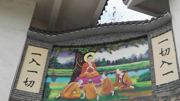 潇洒的奶奶是怎么来的,洒脱的老奶奶舞蹈视频