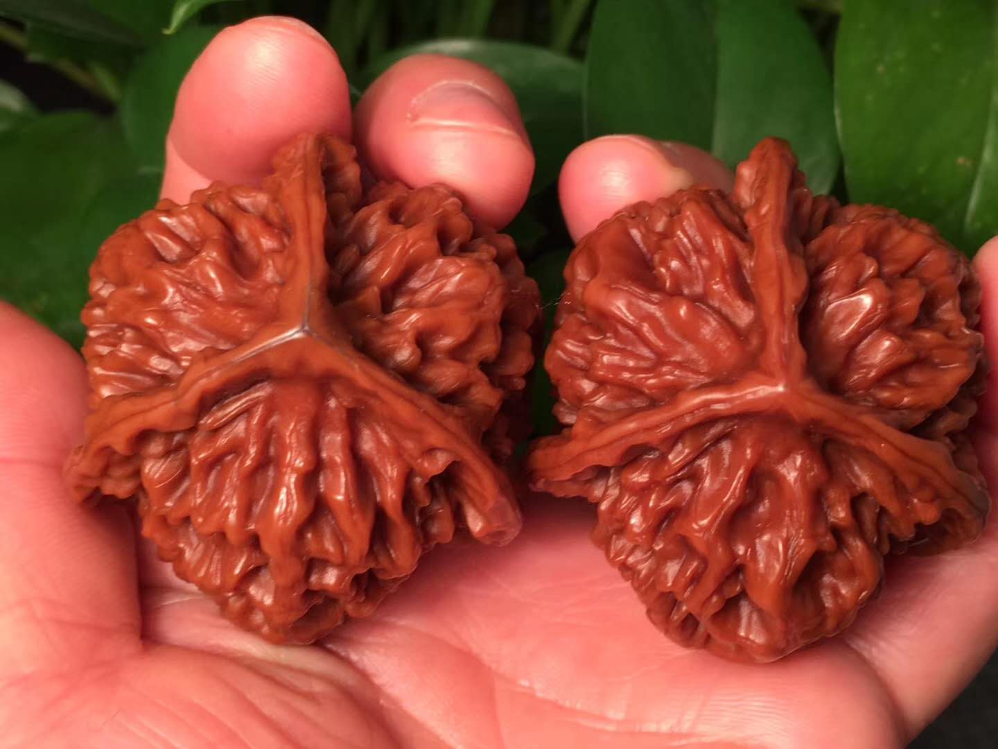 文玩核桃正确盘玩和保养方法,核桃花皮能盘出来吗