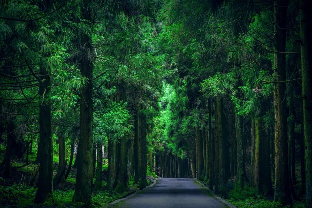 重庆避暑凉快的地方,重庆人都去贵州哪里避暑最好