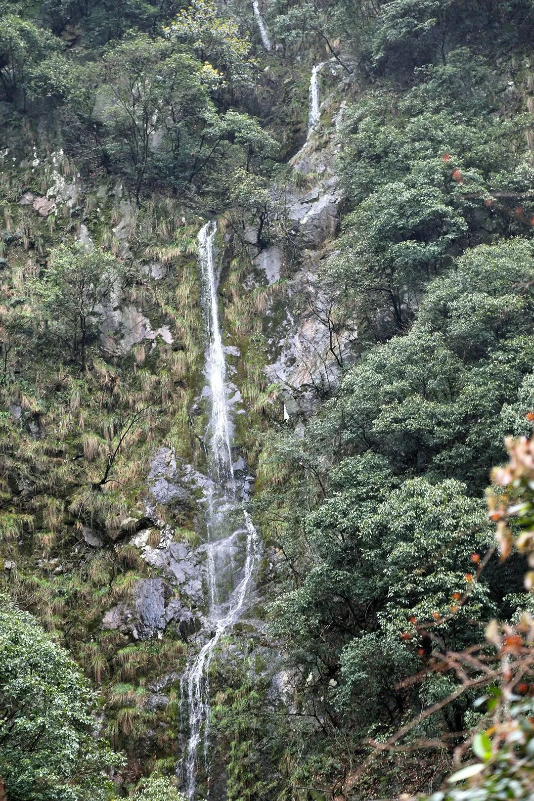 宁波避暑耍水胜地,宁波森林氧吧景区