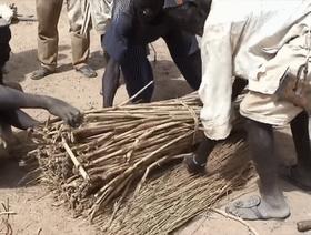 黑人跨入铁器时代的关键！揭秘两千年前的黑人冶铁术，包教不包会