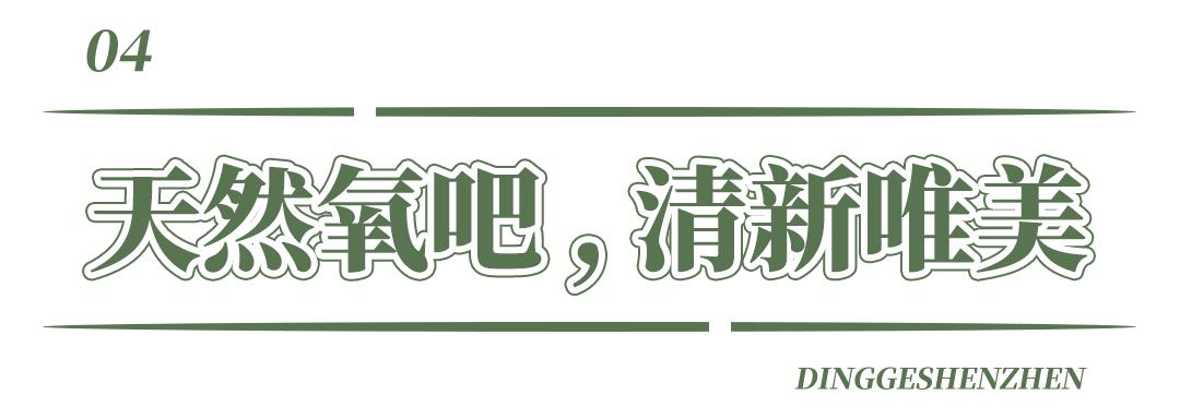 深圳洪湖公园7月18号还有荷花吗,深圳洪湖公园现在有荷花开吗