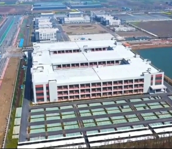 息县中华第一县视频,息县2019年淮河重点工程