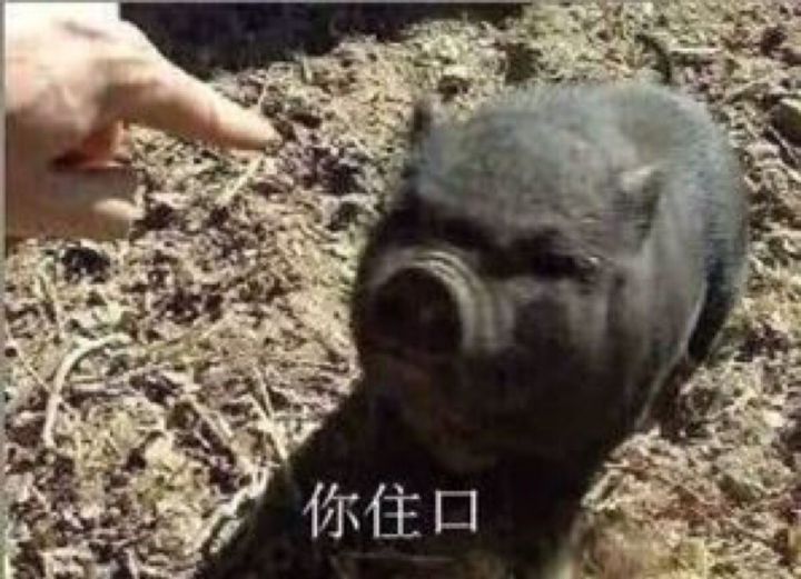 颠覆你认知的报价，这台敞篷奥迪A5有点狂，不！是卖家狂