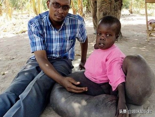 千奇百怪的趣味冷知识,我的世界的趣味冷知识