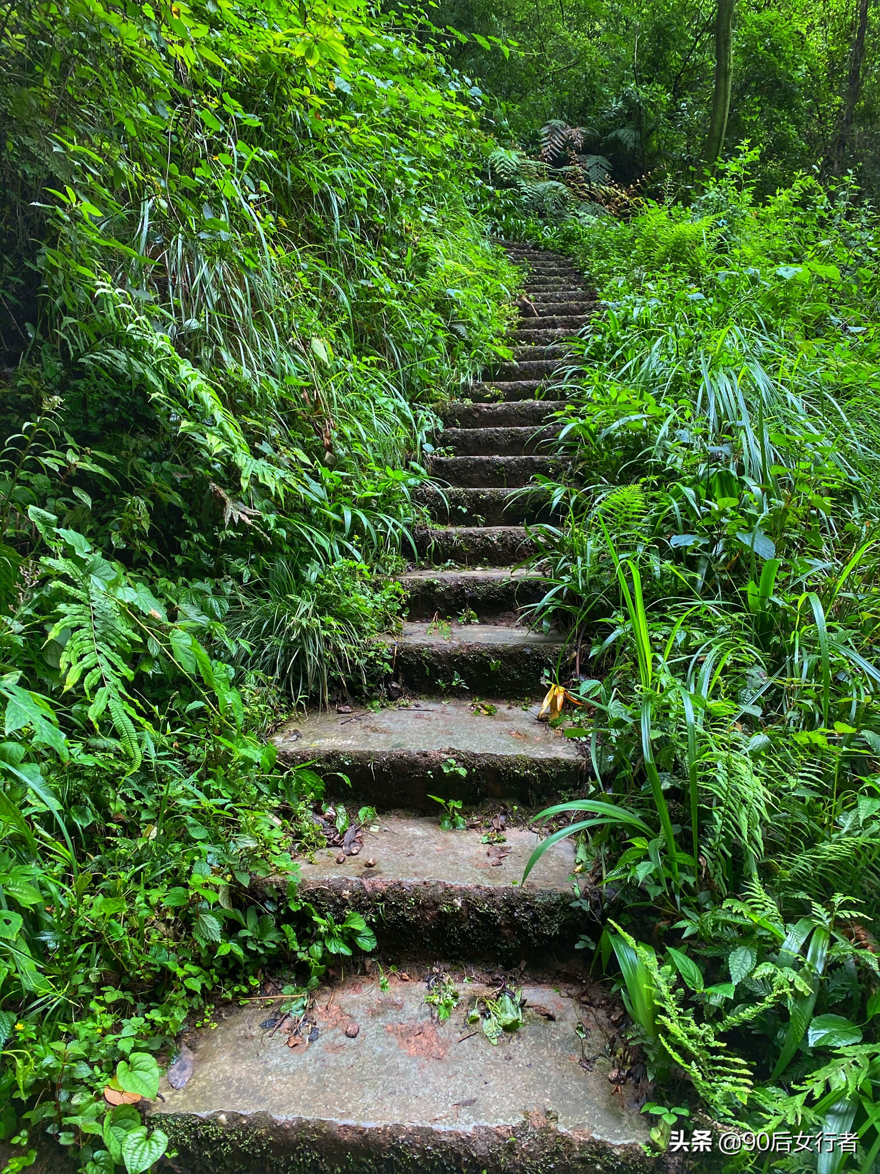 探寻青城山,探秘青城山神仙洞怎么走