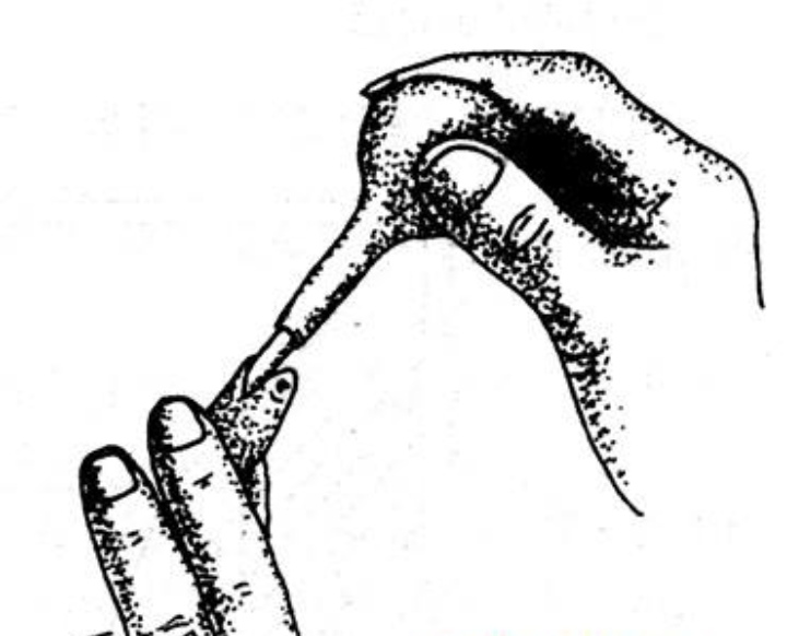 从孵化开始养蛇,幼蛇从母体出生