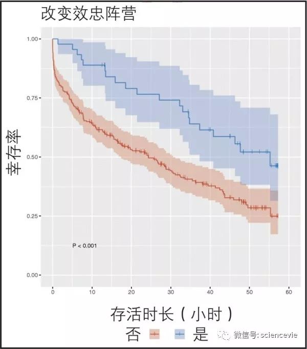 ai鎻鍓嶄笘浠婄敓,ai鎻