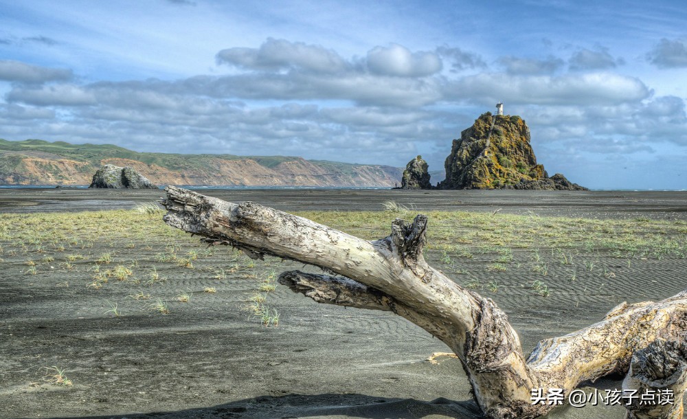 关于理论的古诗句子,唯美诗句100首古诗