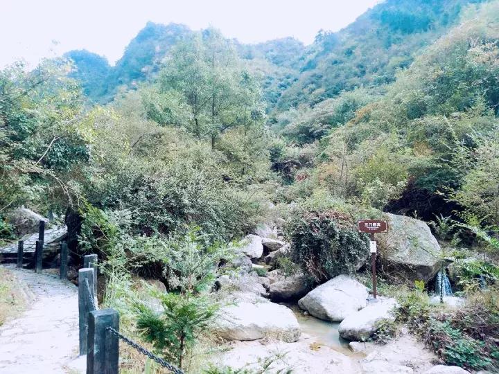 平江碧龙峡景区值得去玩吗,平江碧龙峡全长多少公里