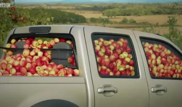 熊出没这部动画片很好看英文,英语启蒙动画片之熊出没